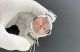 20260115 15 (6)_th.jpg